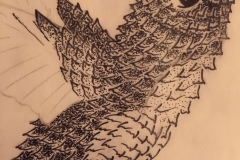 2nd-Close-up