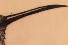 Beak