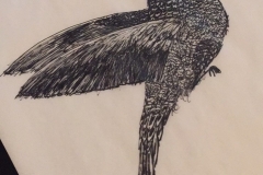 Draft-Sketch