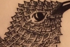 Eye-Closeup