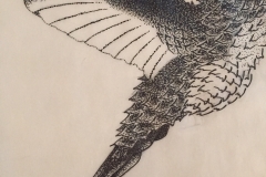 Placeholder-bird