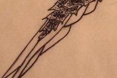 Tail