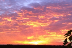 Dawn